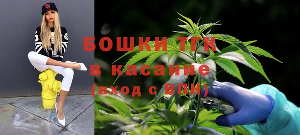 хмурый Арсеньев