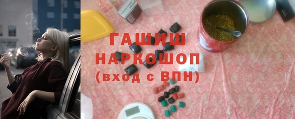 хмурый Арсеньев