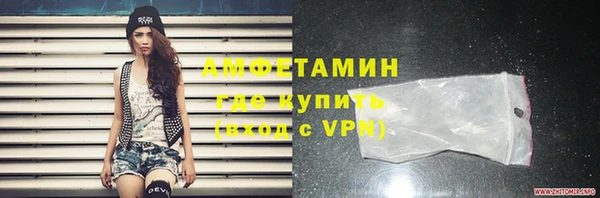 хмурый Арсеньев