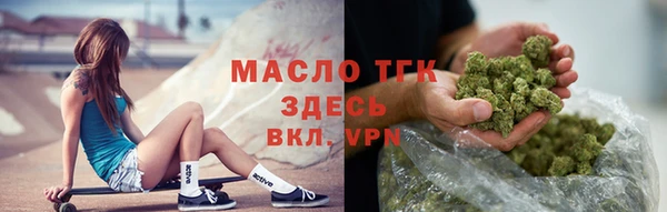 хмурый Арсеньев