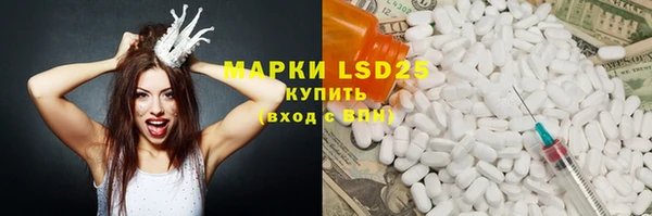 хмурый Арсеньев