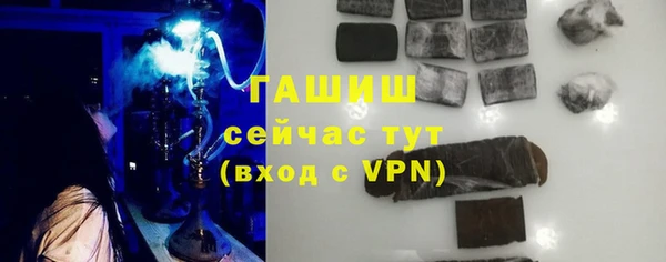 хмурый Арсеньев