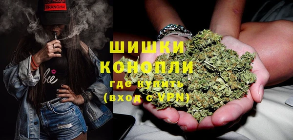 хмурый Арсеньев