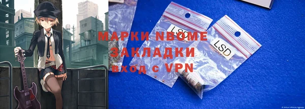 хмурый Арсеньев