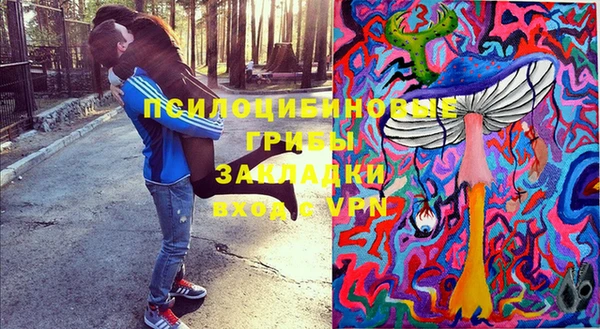 хмурый Арсеньев